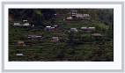 Hillside - by Morna Lincoln * HOST: Mac OS X 10.2.8 * 454 x 232 * (44KB)